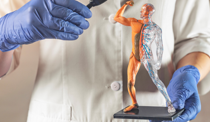 Physiology Department