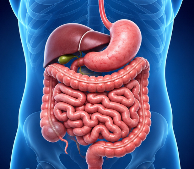 Gastroenterology